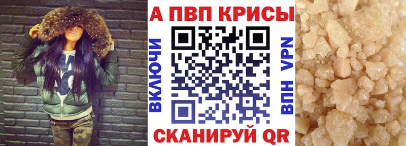 APVP СК Бердск